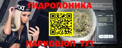 ПСИЛОЦИБИНОВЫЕ ГРИБЫ Сланцы