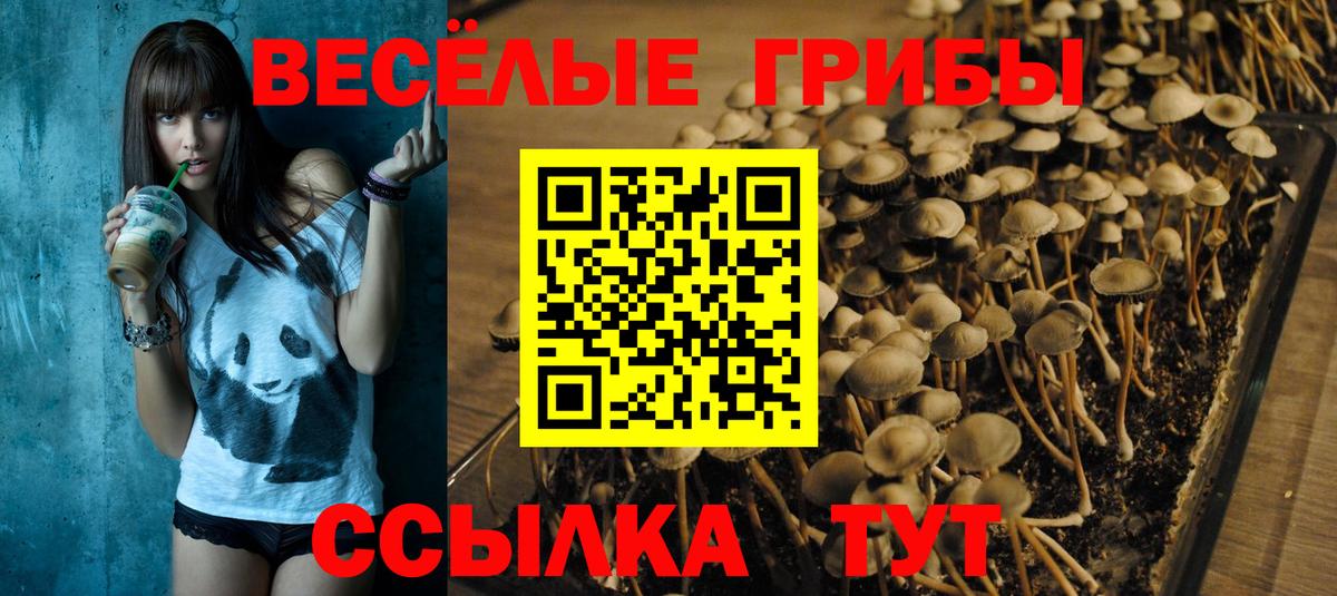 Галлюциногенные грибы Psilocybe  Вход с VPN  Похвистнево 